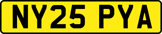 NY25PYA