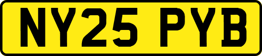 NY25PYB