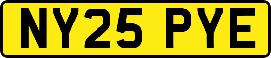NY25PYE