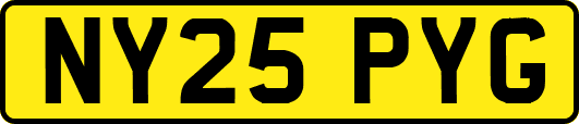 NY25PYG