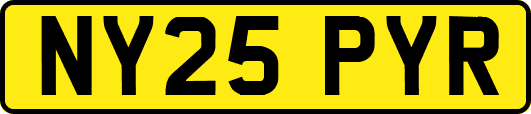 NY25PYR