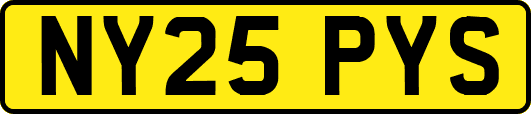 NY25PYS