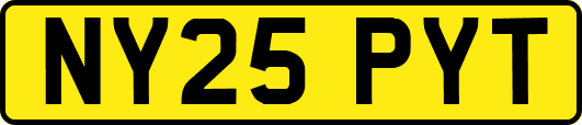 NY25PYT