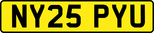 NY25PYU