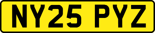 NY25PYZ