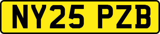 NY25PZB