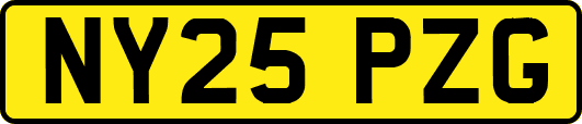 NY25PZG