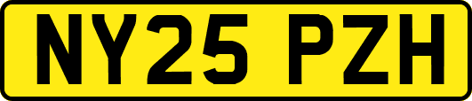 NY25PZH