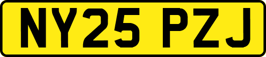 NY25PZJ