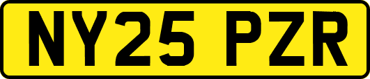 NY25PZR