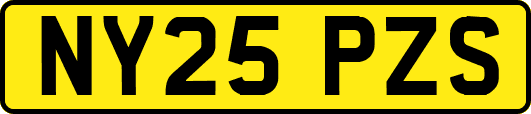 NY25PZS