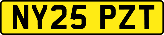 NY25PZT