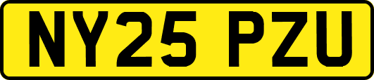 NY25PZU