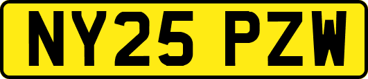 NY25PZW