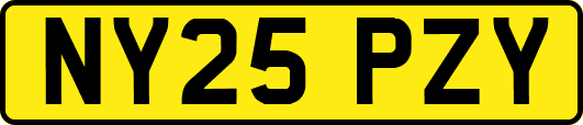 NY25PZY