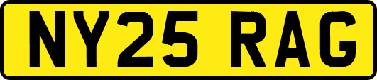 NY25RAG