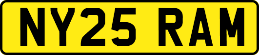 NY25RAM