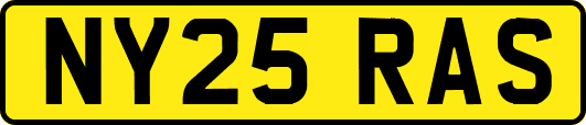 NY25RAS