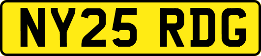 NY25RDG