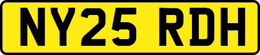 NY25RDH