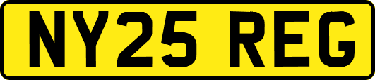 NY25REG