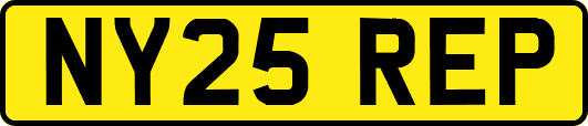 NY25REP