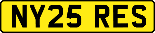 NY25RES
