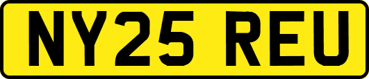 NY25REU