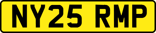NY25RMP
