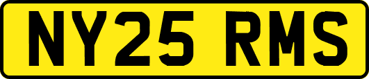 NY25RMS