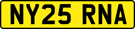 NY25RNA