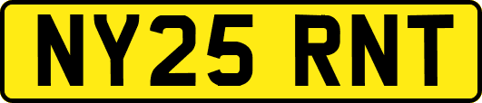 NY25RNT