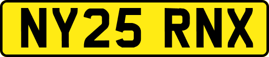 NY25RNX