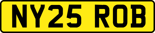 NY25ROB