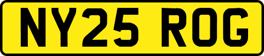 NY25ROG