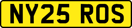 NY25ROS