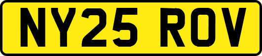 NY25ROV