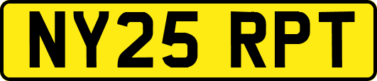 NY25RPT