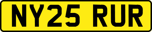 NY25RUR