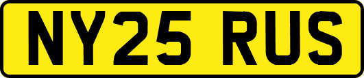 NY25RUS