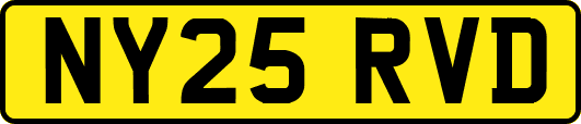 NY25RVD