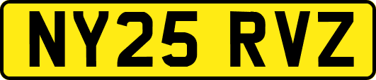 NY25RVZ