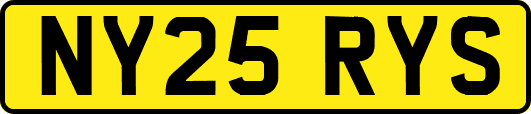 NY25RYS