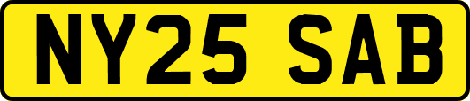 NY25SAB