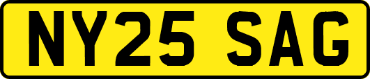 NY25SAG