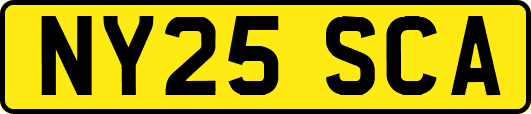 NY25SCA