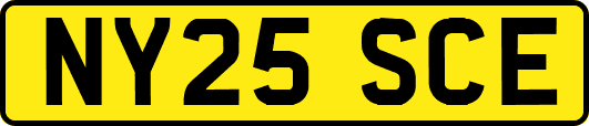 NY25SCE