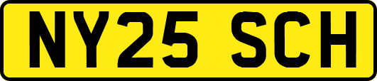 NY25SCH