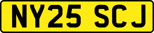 NY25SCJ