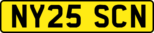 NY25SCN